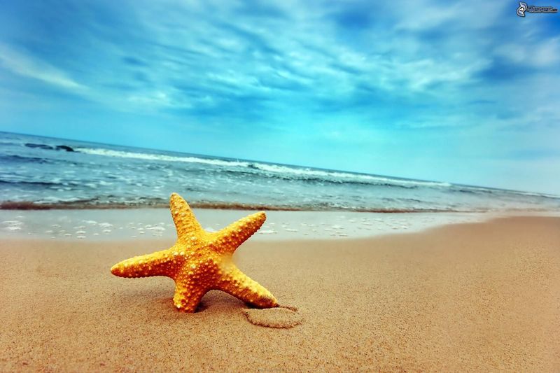 SOLE E MARE LIDO degli ESTENSI