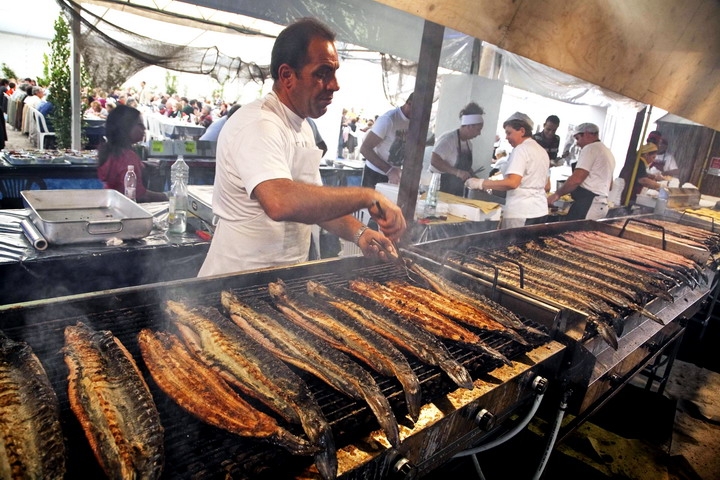 Anguilla di Comacchio: ricette e curiosità 